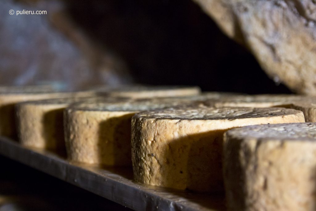 Gamonéu cheese