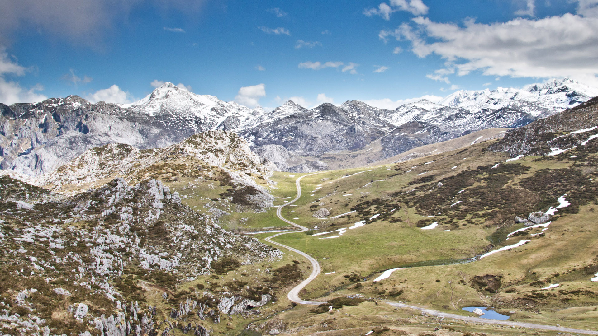 Towards Belbín Picos de Europa