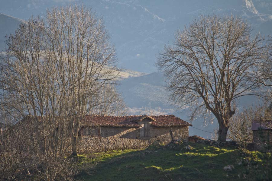Walks near Pulieru